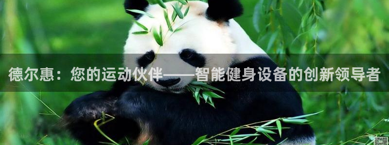 哈哈体育招商电话号码是多少啊：德尔惠：您的运动伙伴—