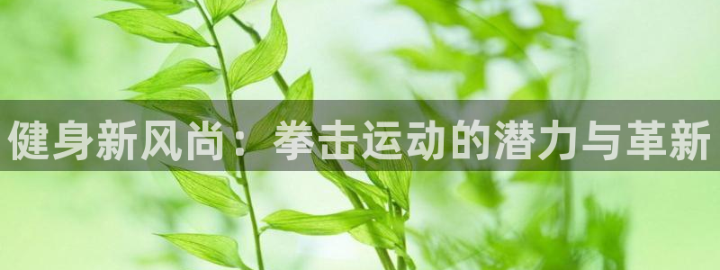 哈哈体育娱乐是那个系列的台子：健身新风尚：拳击运动的