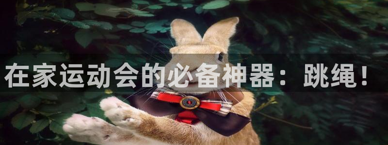 哈哈体育平台注册要钱吗是真的吗：在家运动会的必备神器：跳绳！