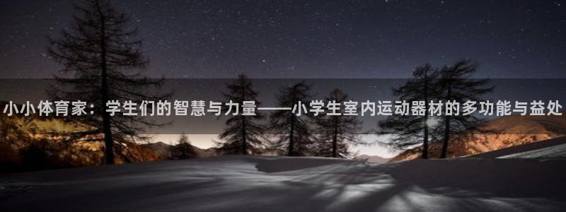 哈哈体育娱乐网站：小小体育家：学生们的智慧与力量——