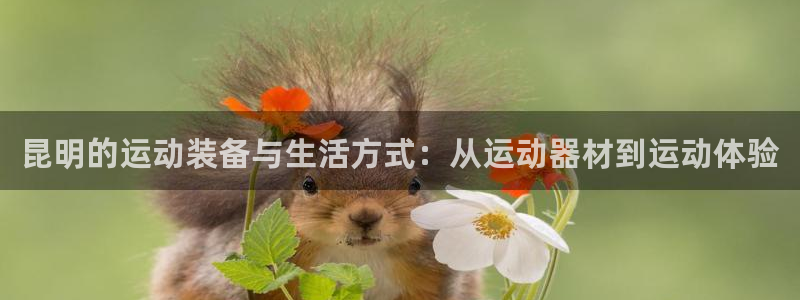 哈哈体育开户：昆明的运动装备与生活方式：从运动器材到运动体验